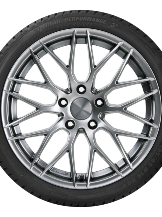 195/65 R15 95H XL Road Performance yazlık lastik