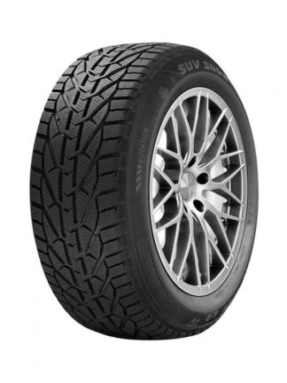 275/40 R20 106V XL SUV SNOW kışlık lastik RIKEN 2754020